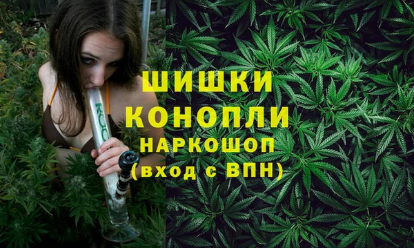 дмт Аркадак