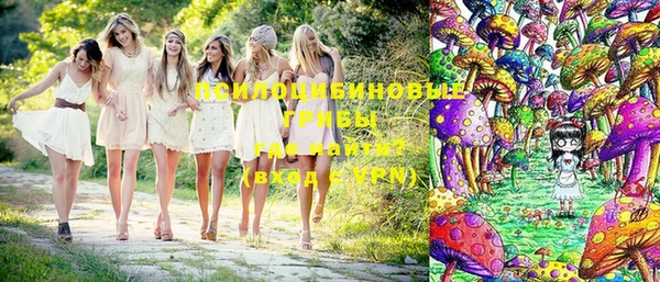 дмт Аркадак