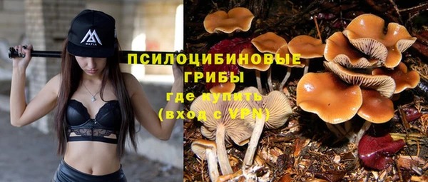 дмт Аркадак