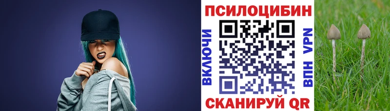 Псилоцибиновые грибы Cubensis  Белинский 